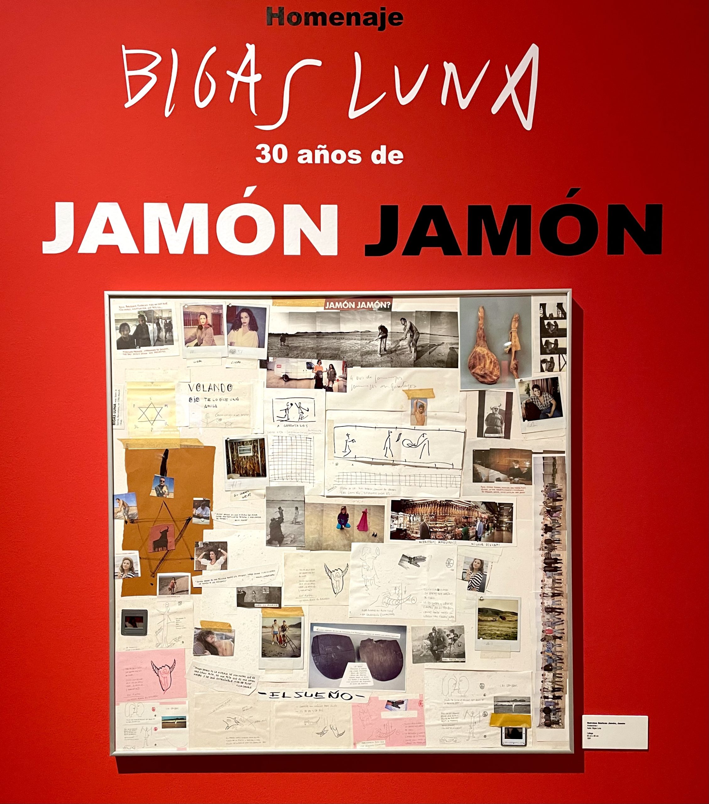 Lee más sobre el artículo Homenaje a Bigas Luna. 30 años de Jamón, Jamón