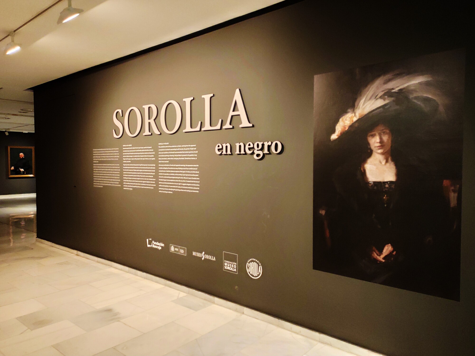 Lee más sobre el artículo Sorolla en negro