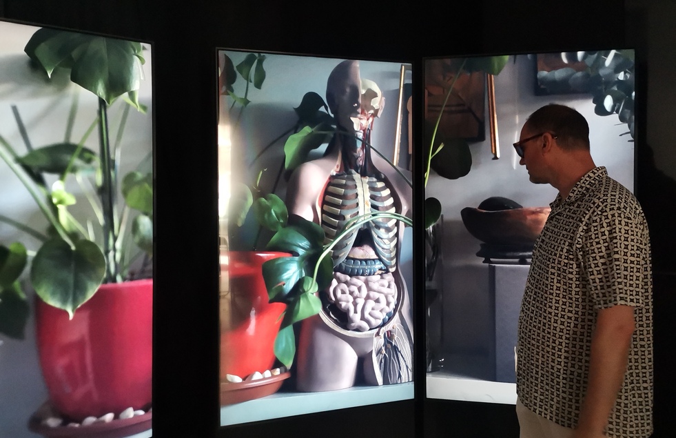 Lee más sobre el artículo Entrevista a Paco Algaba