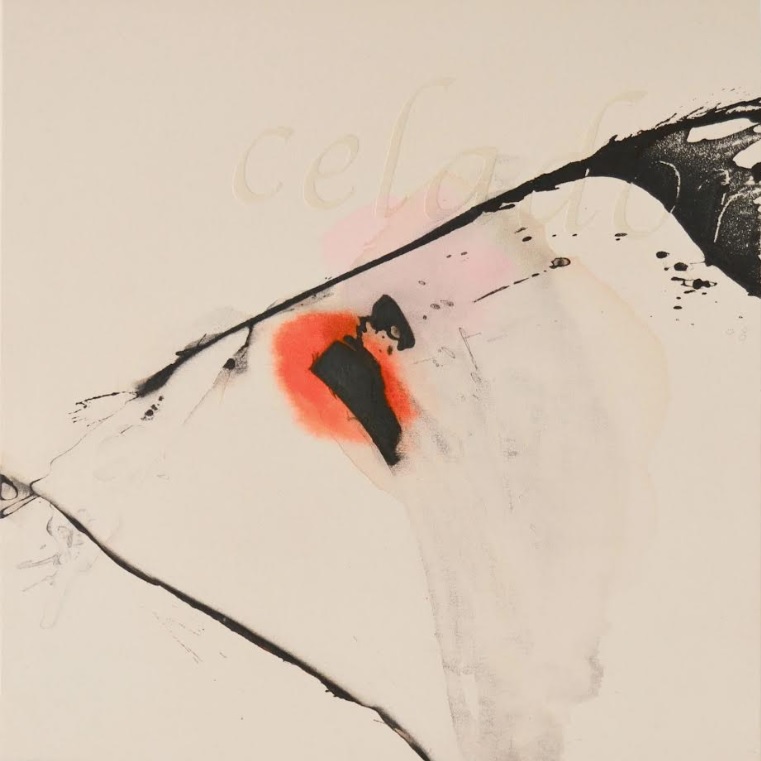 Lee más sobre el artículo Ahora no me ves. Asun Valet