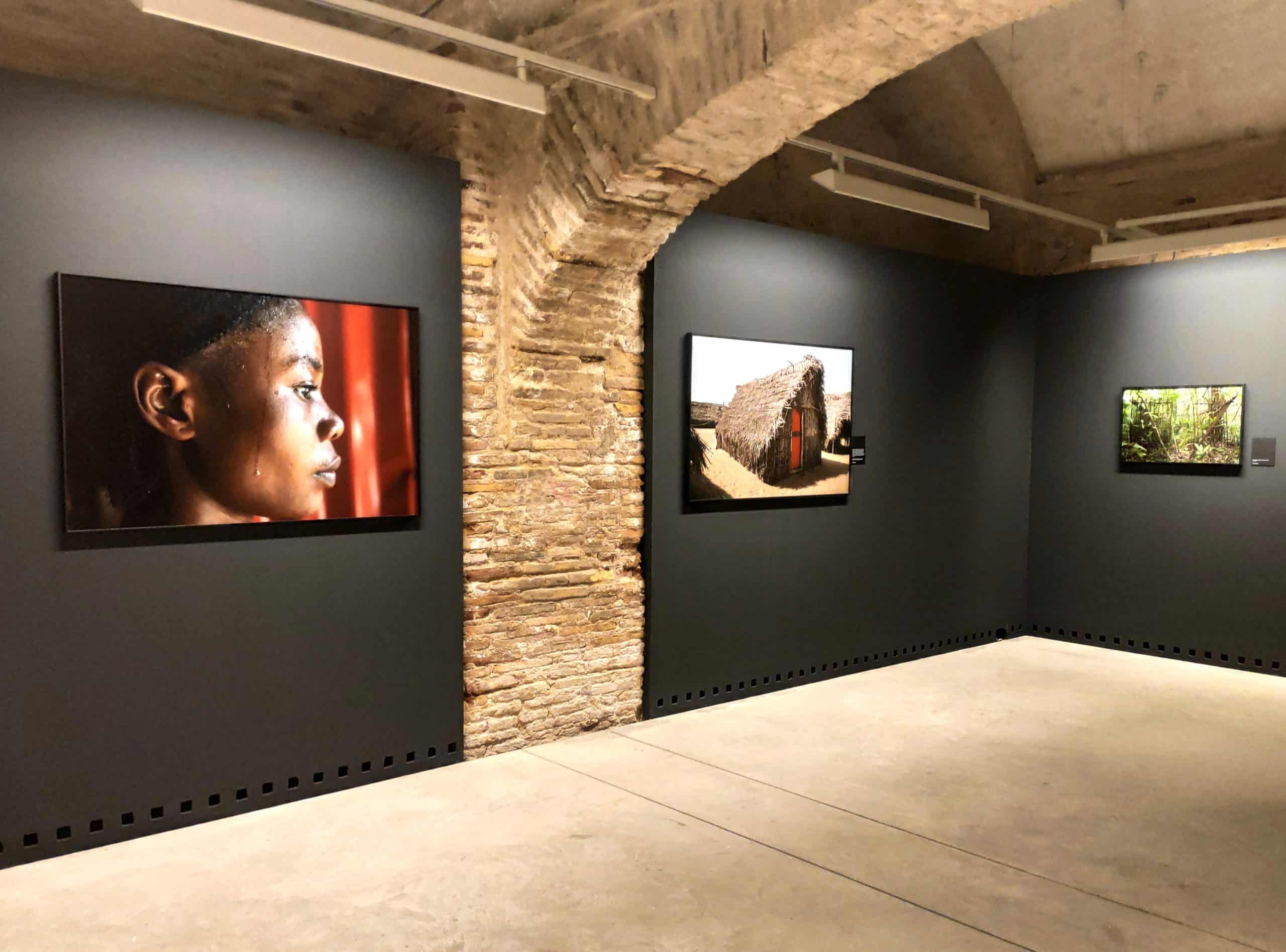 Lee más sobre el artículo “Aquella niebla, este silencio” El legado esclavista que elegimos ocultar